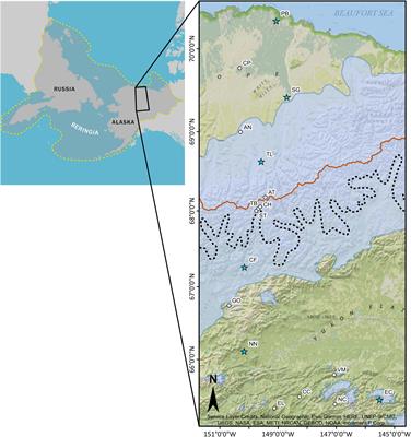 Landscape Genomics Provides Evidence of Ecotypic Adaptation and a Barrier to Gene Flow at Treeline for the Arctic Foundation Species Eriophorum vaginatum